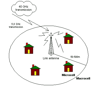 tln.jpg (46360 octets)